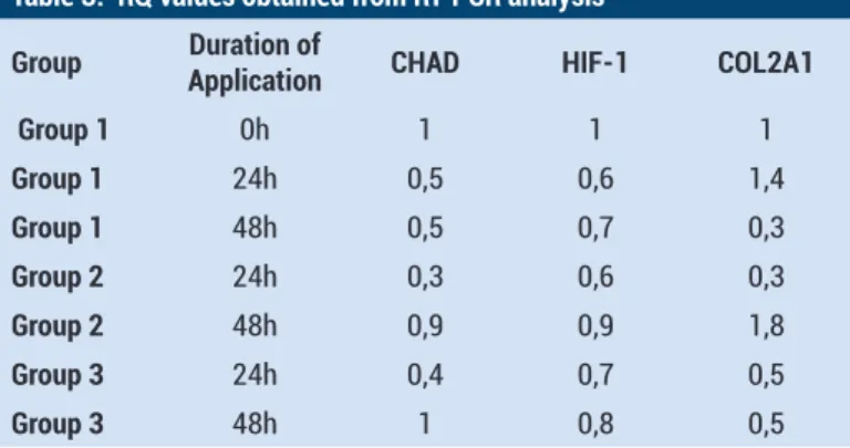 Figure 3. MTT-cell viability, toxicity, and proliferation results.