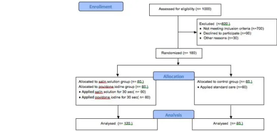 Figure 1. Randomization of participants