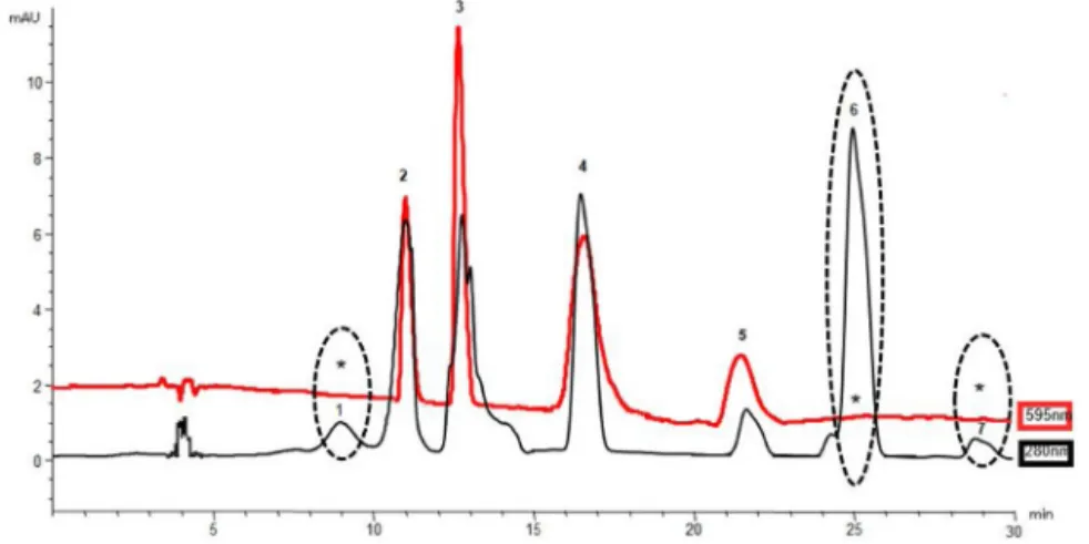 Fig. 4. Overlapped chromatograms with HPLC-FRAP 595 nm and DAD 280 nm detections of ethyl acetate extract from C