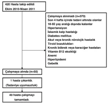 Şekil 1. Çalışma akış şeması
