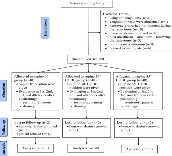 Figure 1:  CONSORT flow diagram for this trial 