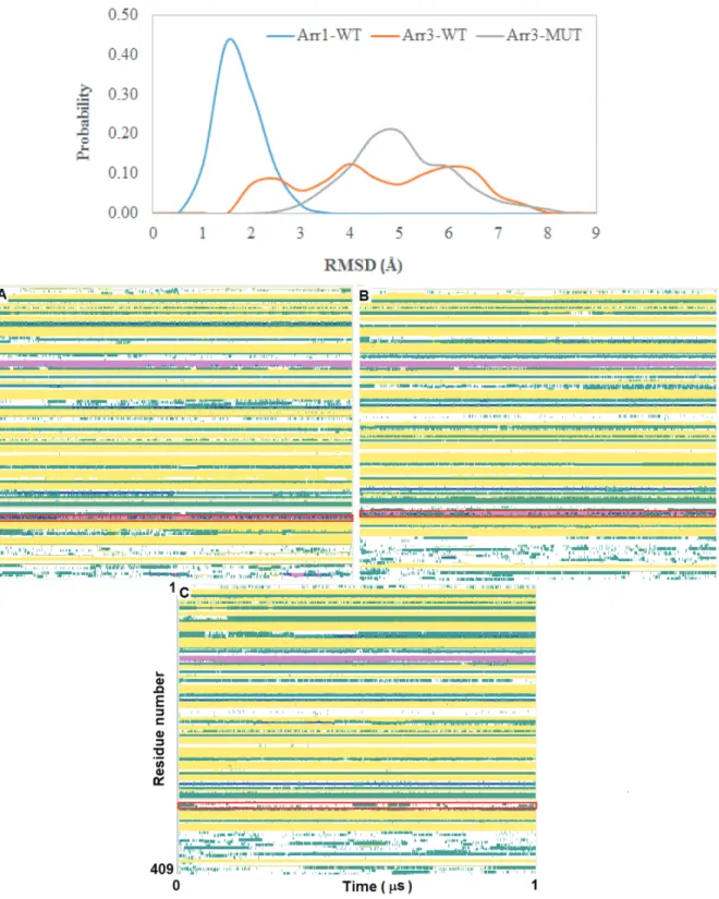 Figure 4. Probability distribution of RMSD of the “short helix” obtained from molecular dynamics trajectories of the systems (top)