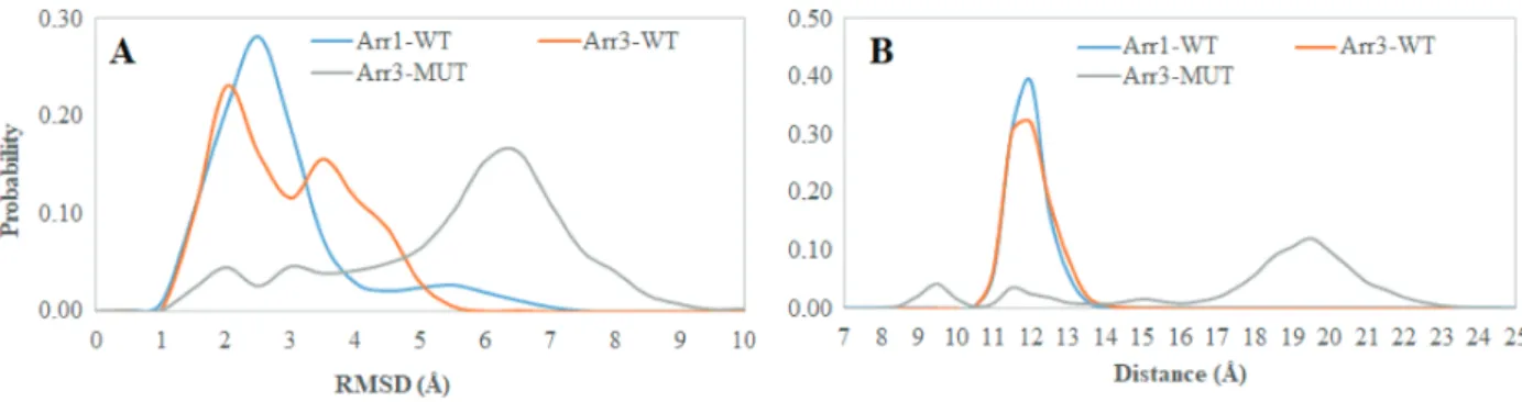 Figure 7. Probability distributions of A. RMSD of the “finger loop”, B. distance which is measured between C α atoms of C60 and D70 in β -arrestin2 (A64 and M75 in arrestin1) obtained from molecular dynamics trajectories of the systems.