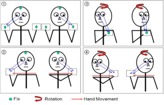 Fig. 1. Oculomotor exercises (17)  
