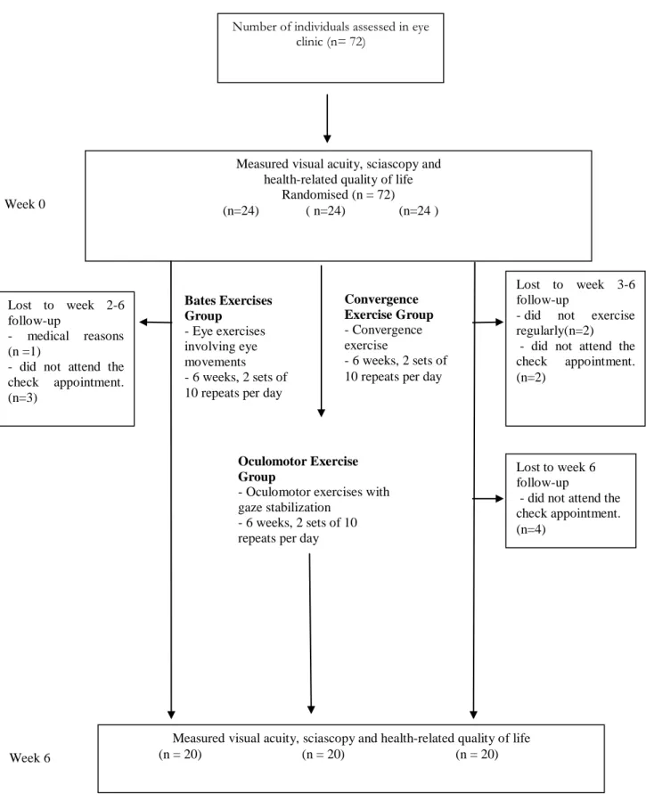 Fig. 2. Design and flow of participants through the trial