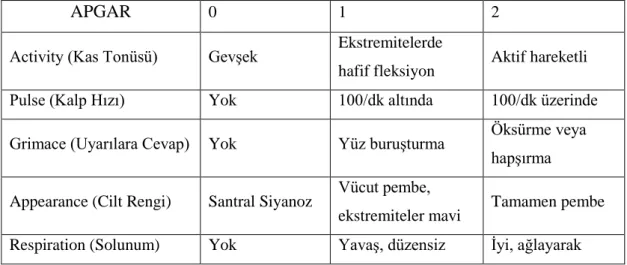 Şekil 1: APGAR Skorunun Değerlendirilmesi 