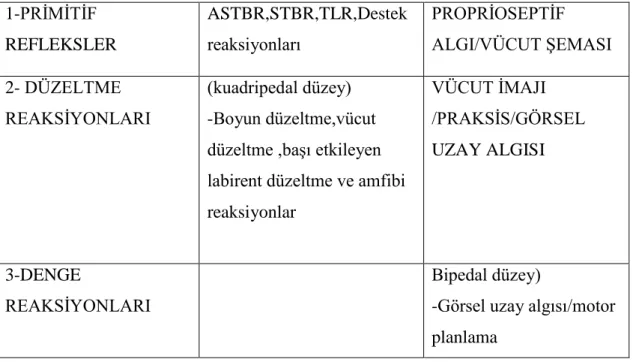 Tablo 2.6. Duyu Sistemleri Ve Görevleri    TAKTİL SİSTEM                     PROPRİOSEPTİF 