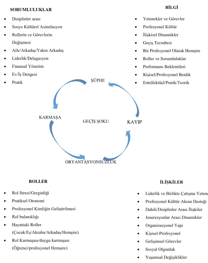 Şekil 1: Transition Shock Model. (Duchscher JEB, 2008) 