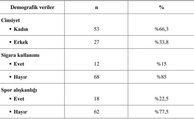 Tablo 2. Katılımcıların demografik özellikleri 