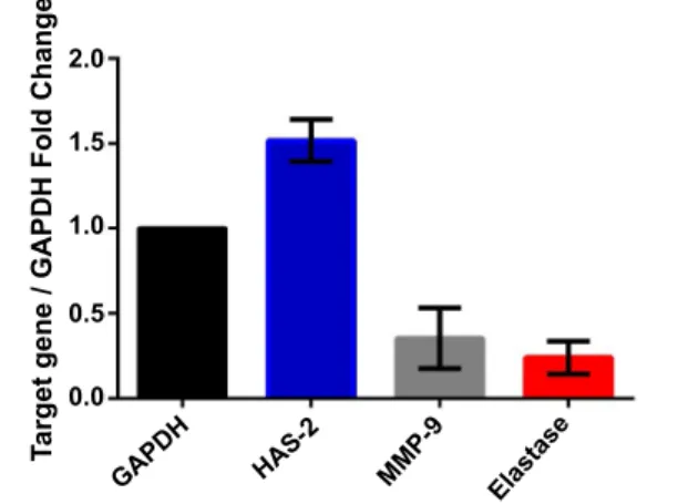 TABLE 1: PRIMERS (5'-3') OF THE GENES STUDIED