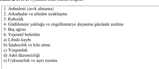 Tablo 2. 3. 3. 1: Öyküden Elde Edilen Bilgiler  1. Anhedoni (zevk almama) 
