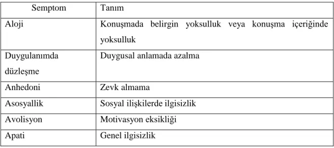 Tablo 2.4. En Sık Görülen Negatif Semptomlar ve Tanımları 