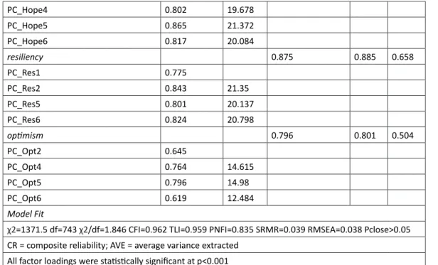 Table 2: Correlations and Discriminant Validity