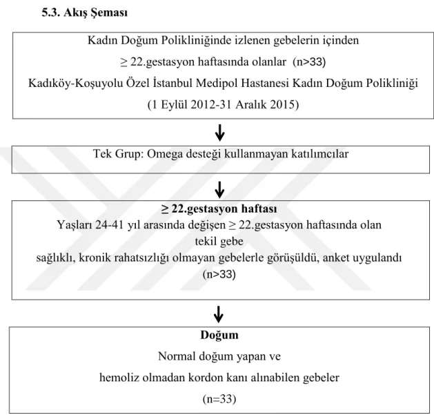 Şekil 5.1. Araştırmanın Şeması 