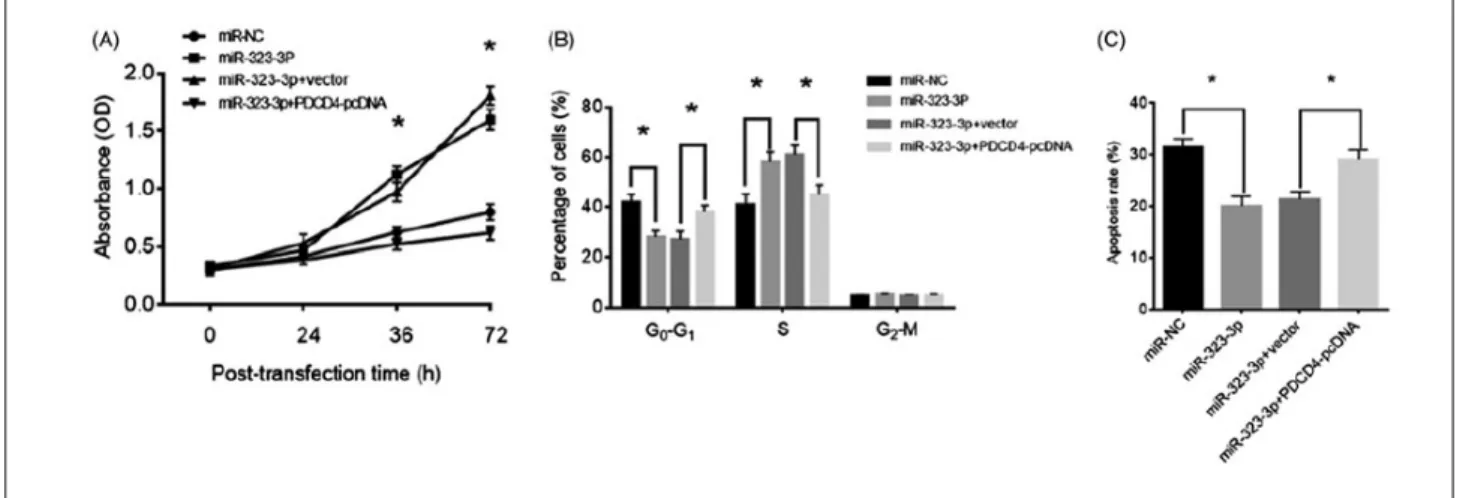 Fig. 5. MiR-323-3p promoted cell growth and inhibited apoptosis in cumulus cells (CCs) by targeting PDCD4