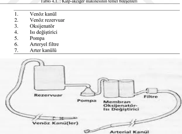 Tablo 4.1. : Kalp-akciğer makinesinin temel bileşenleri 
