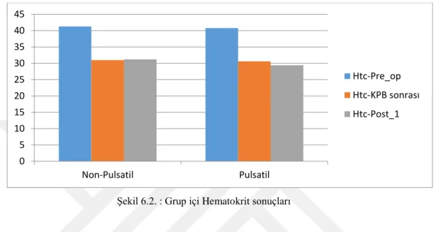 Şekil 6.2. : Grup içi Hematokrit sonuçları 
