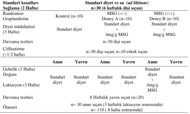 Tablo 5.1. Deney araştırma planı  Standart koşulları  