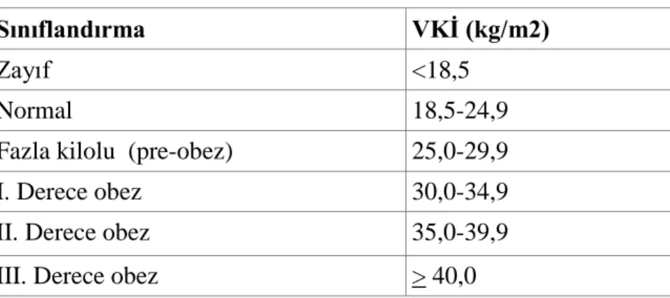 Şekil 4.  VKİ sınıflandırılması 