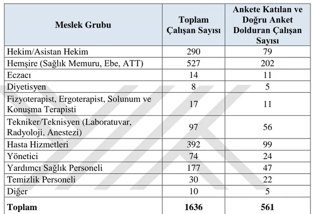 Tablo 5.1: Anket Uygulama Planı 