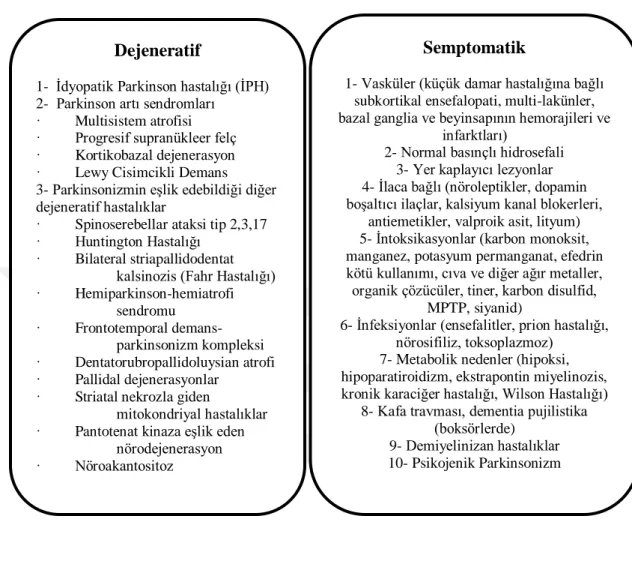 Tablo 4. 1Parkinson sendromunun sınıflaması