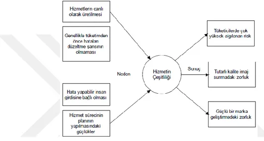 Şekil 4.4. Hizmetlerde çeşitliliğin neden ve sonuçları, Eser (8) 