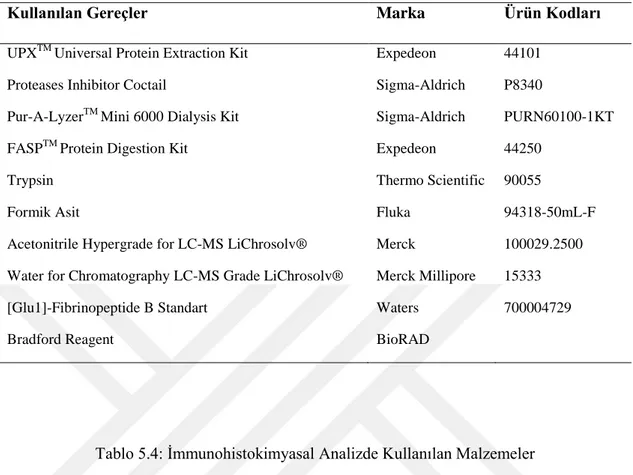 Tablo 5.3: Ekspresyon Analizinde Kullanılan Malzemeler 