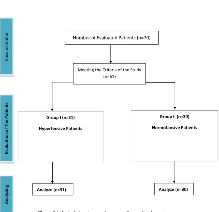 Figure 5.1. Included patients and process of grouping the patients Number of Evaluated Patients (n=70) 