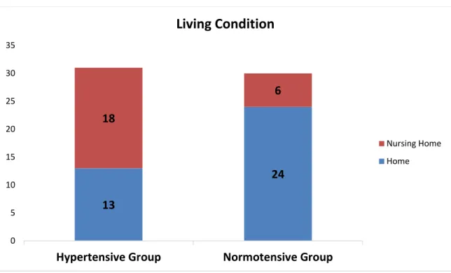 Figure 6.1. Living conditions of the participants 