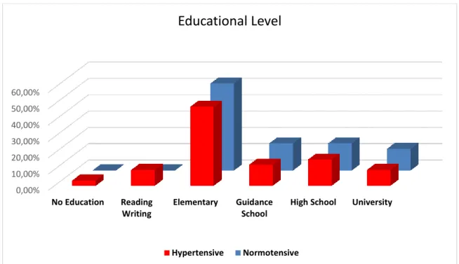 Figure 6.2. Educational level in participants 