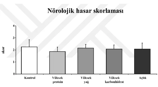 Şekil 6.3.1. Nörolojik hasar skorlaması.  