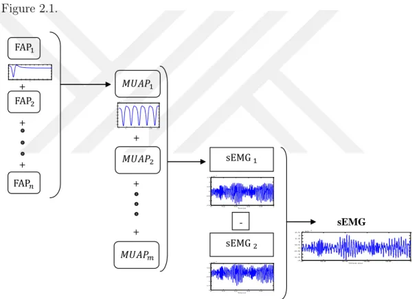 Figure 2.1: Architecture of the sEMG model. Basic operations of generating a sEMG signal that simulate the signals obtained from one channel are shown in the figure