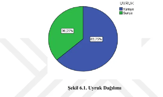 Şekil 6.1. Uyruk Dağılımı 