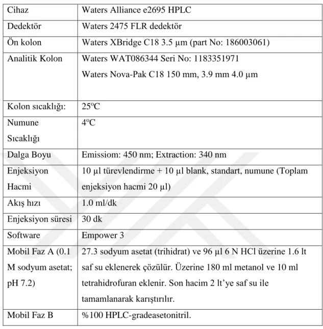 Tablo 5.3.1.4.Gradient Programı 