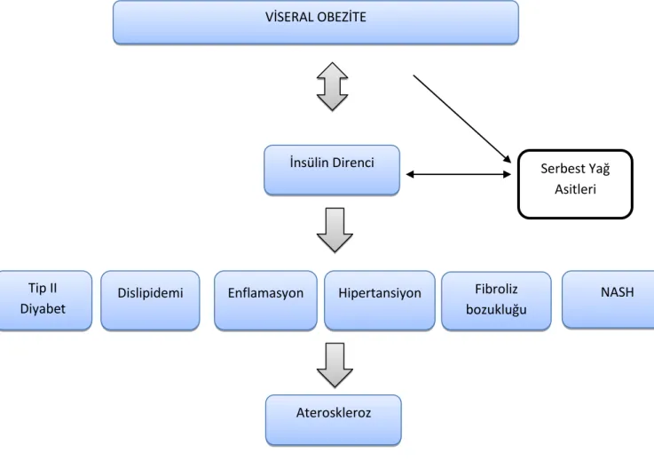 Şekil 4.4.2.1: Metabolik Sendrom sebepleri  VİSERAL OBEZİTE 