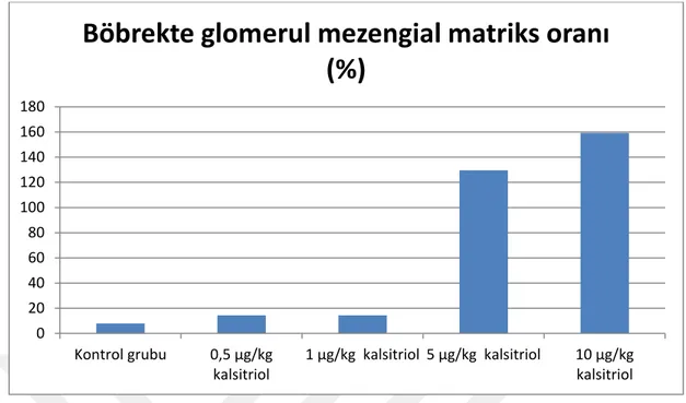 ġekil 6.3. Böbrek PAS boyama   