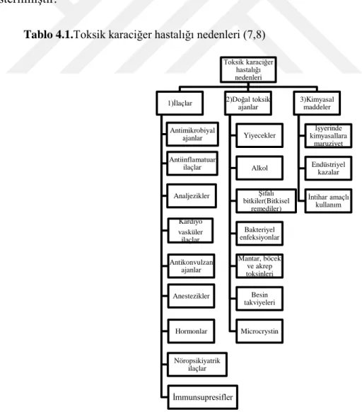Tablo 4.1.Toksik karaciğer hastalığı nedenleri (7,8) 