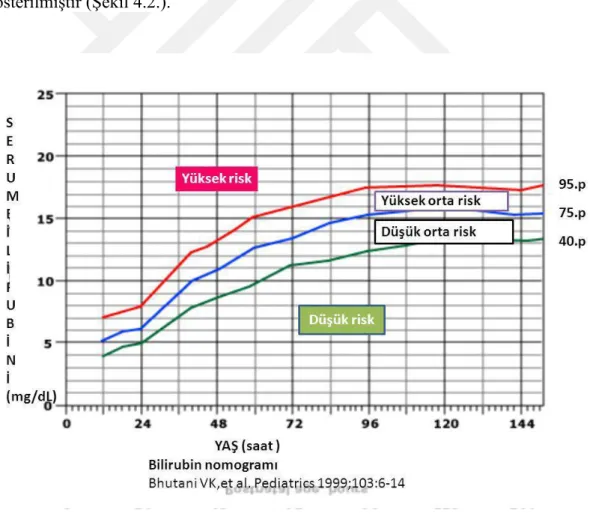 Şekil 4.3.1. Bilirubin risk bölgeleri 