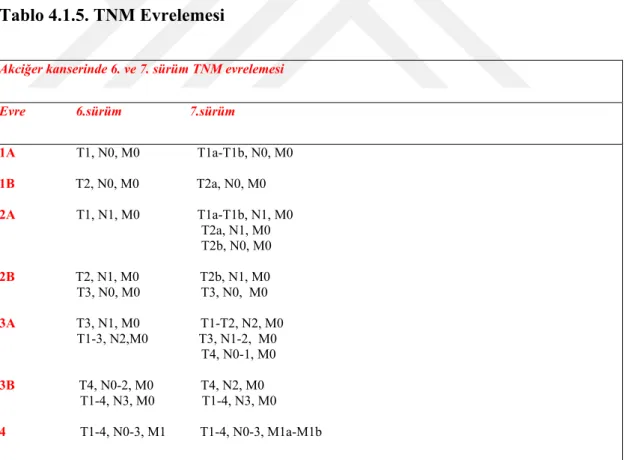 Tablo 4.1.5. TNM Evrelemesi 