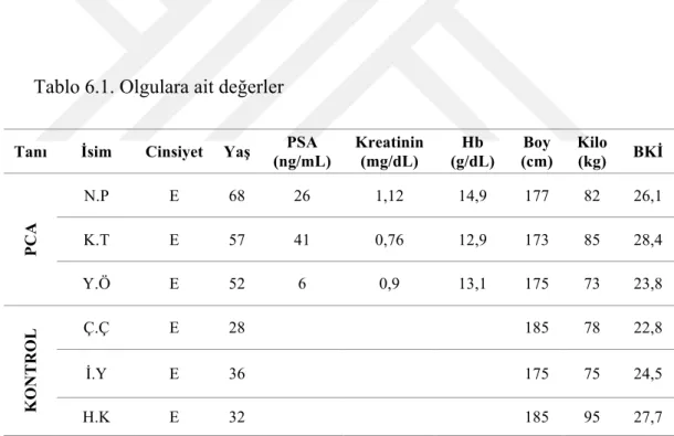 Tablo 6.1. Olgulara ait değerler 