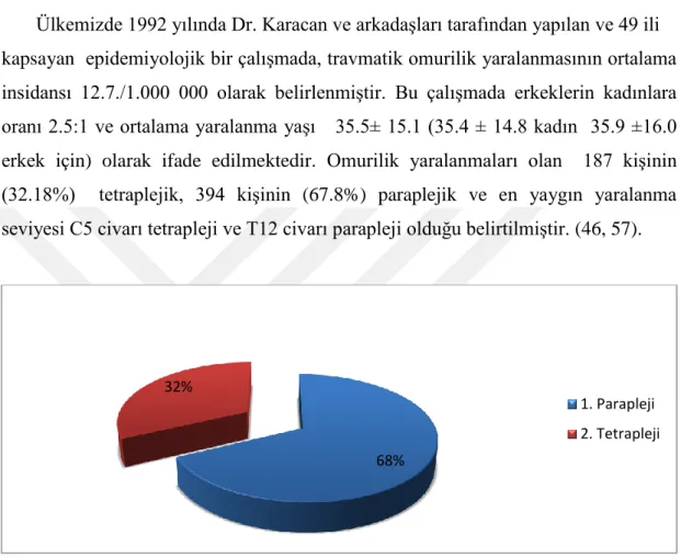 Şekil 4.1.2.1. Türkiye’de Omurilik Yaralanmalı Kişilerin Nörolojik Sınıflandırılması 