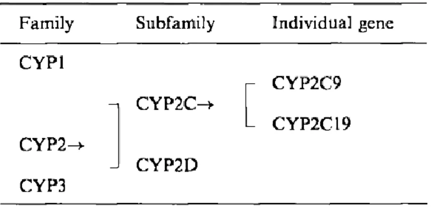 Şekil 4.2.1.2. Sitokrom P450 enzim sisteminin adlandırılması (43, 44). 
