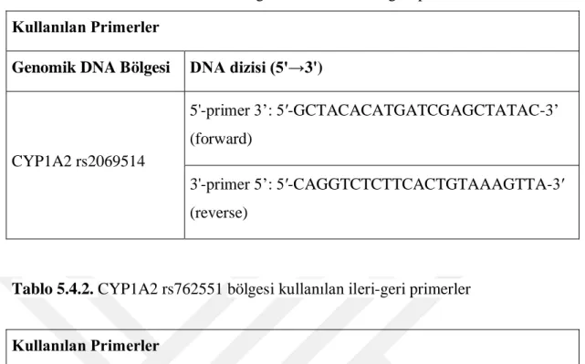 Tablo 5.4.2. CYP1A2 rs762551 bölgesi kullanılan ileri-geri primerler 