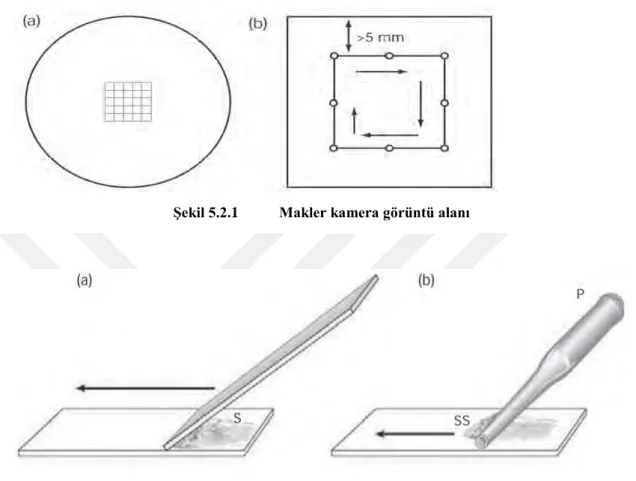 Şekil 5.2.1  Makler kamera görüntü alanı