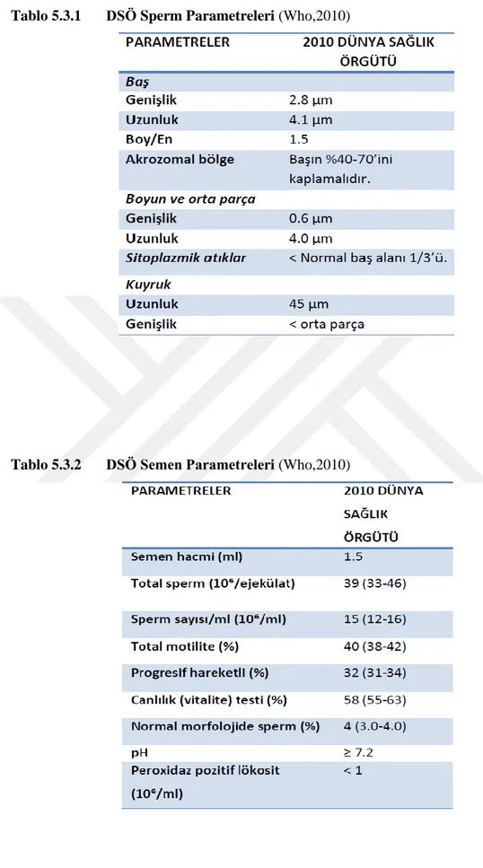 Tablo 5.3.2  DSÖ Semen Parametreleri (Who,2010) 