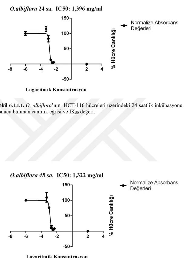 Şekil  6.1.1.2.   O. albiflora’nın  HCT-116 hücreleri üzerindeki 48 saatlik inkübasyonu  sonucu bulunan canlılık eğrisi ve İK 50  değeri