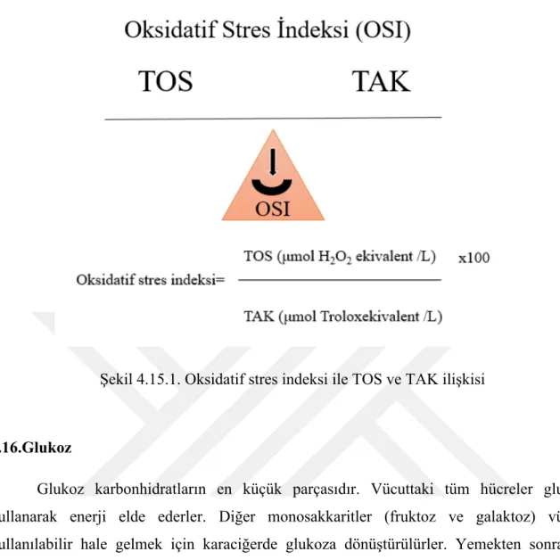Şekil 4.15.1. Oksidatif stres indeksi ile TOS ve TAK ilişkisi 