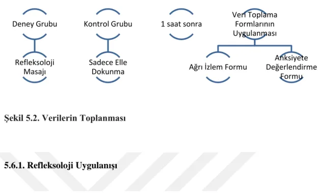 Şekil 5.6.1.1. Ellerin losyon kullanılarak nemlendirilmesi ve ısıtılması 