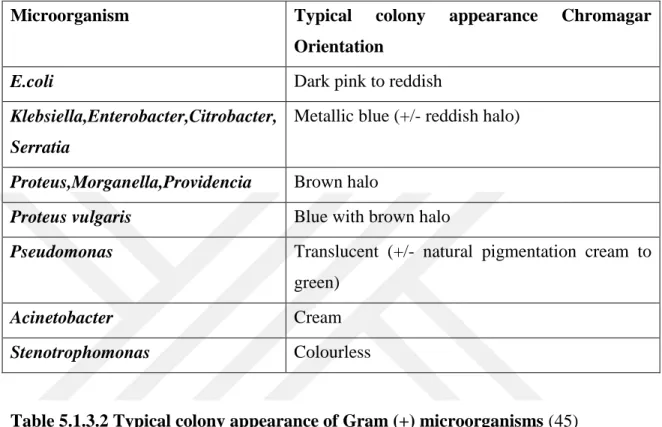 Table 5.1.3.2 Typical colony appearance of Gram (+) microorganisms (45) 