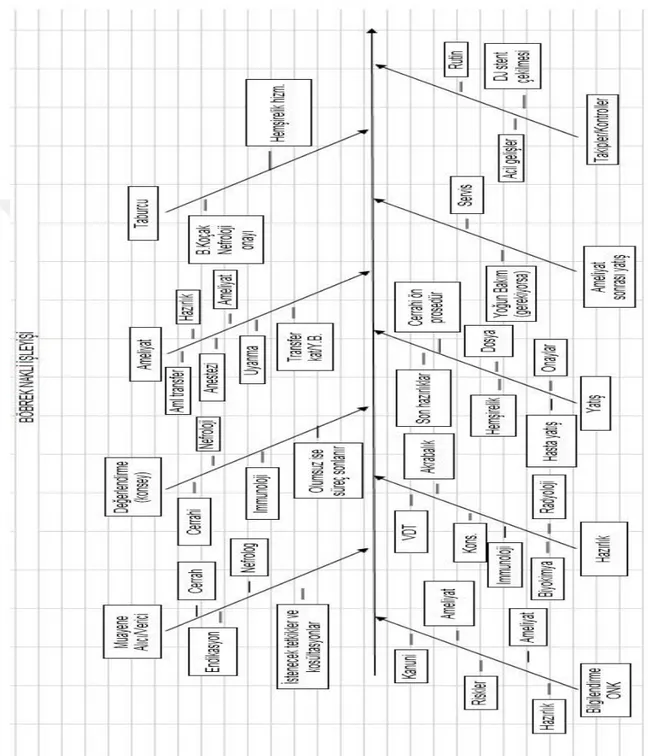 Şekil 1: Bu kavram haritası sadece böbrek nakli işleyiş sürecini bilinçlendirmek için   verilmiştir